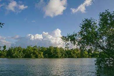 2024全明星最新赛程公布，哪些亮点值得期待？，全明星赛24号和2号