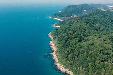 76人恩比德持续“30+”，站稳东部得分王宝座！，76人恩比德几号球衣